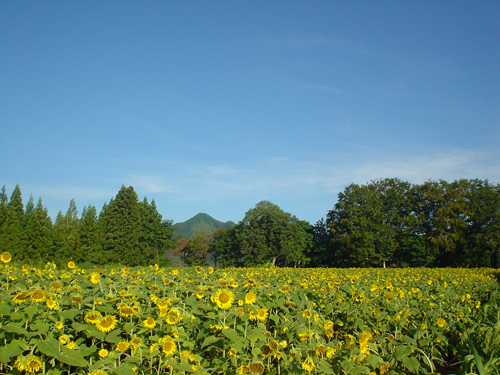DSC04534.jpg