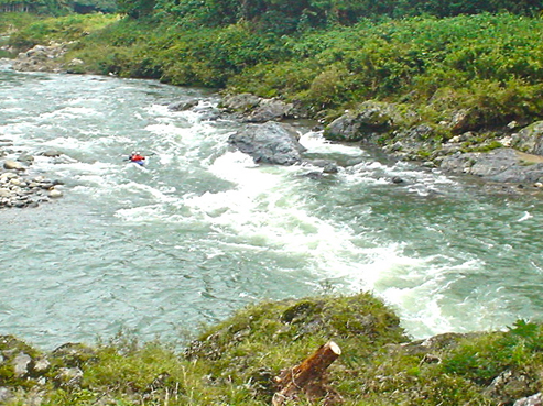 DSC04730.jpg