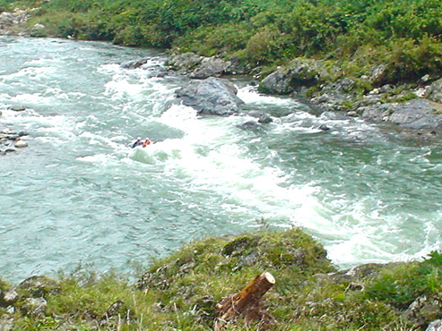 DSC04731.jpg
