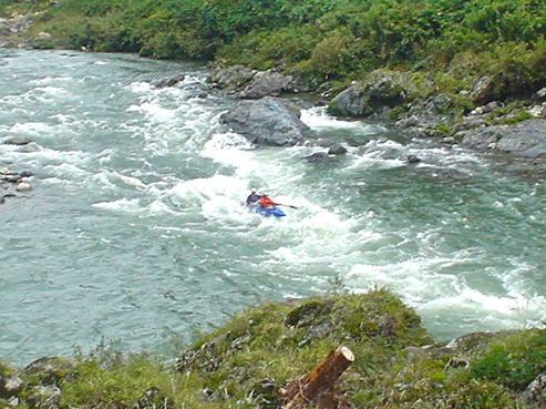 DSC04732.jpg