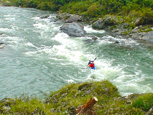 DSC04733.jpg