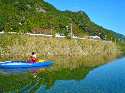 DSC04794.jpg