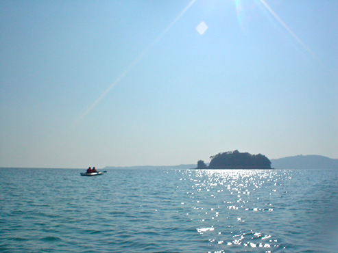 DSC04842.jpg