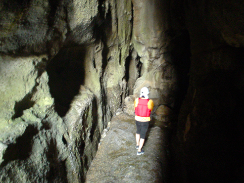 DSC04881.jpg