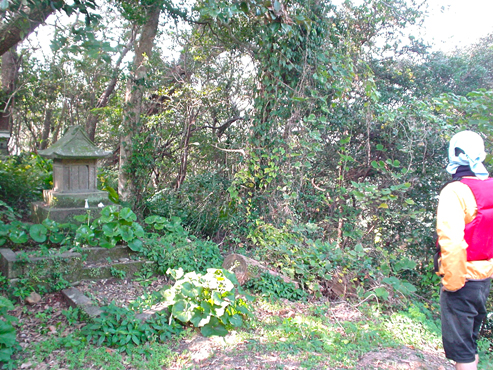 DSC04888.jpg
