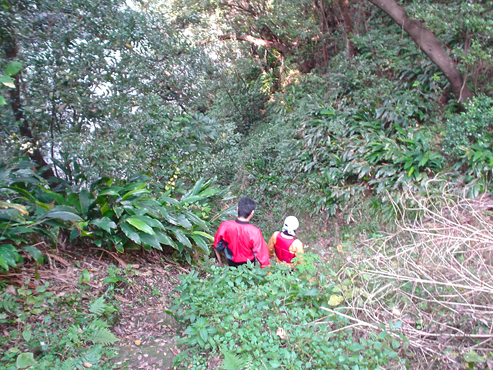 DSC04889.jpg