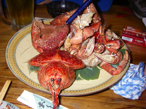 IMGP0213.jpg