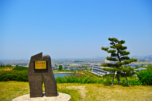 IMGP0893.jpg