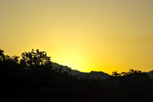 IMGP0929.jpg