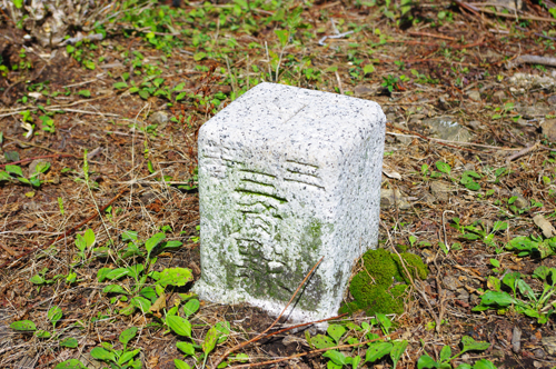 IMGP1753.jpg