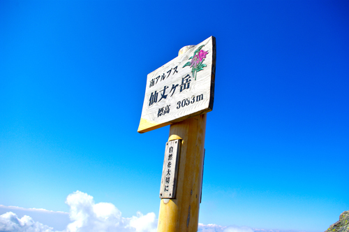 IMGP2110.jpg