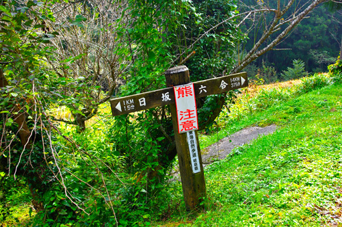 IMGP2242.jpg