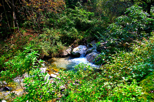 IMGP2246.jpg