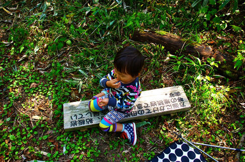 IMGP2311.jpg