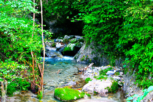 IMGP2338.jpg