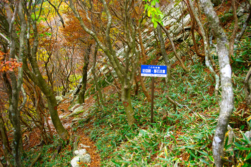 IMGP2845.jpg