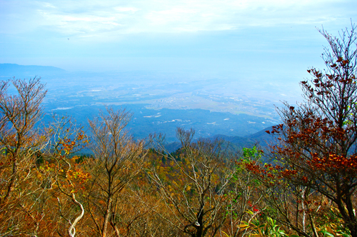 IMGP2892.jpg