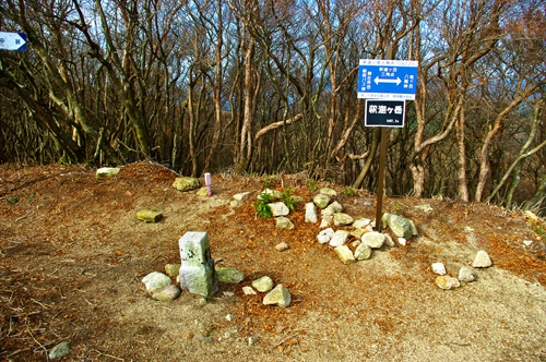IMGP2902.jpg