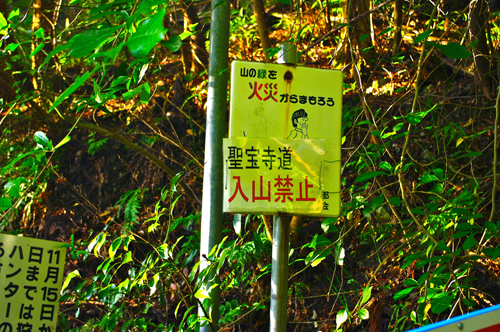 IMGP3105.jpg