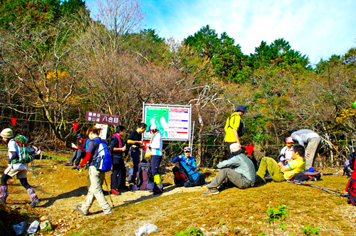 IMGP3128.jpg