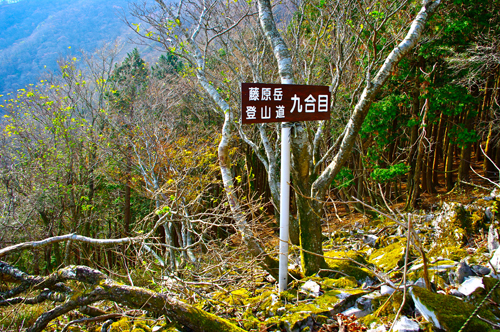 IMGP3142.jpg
