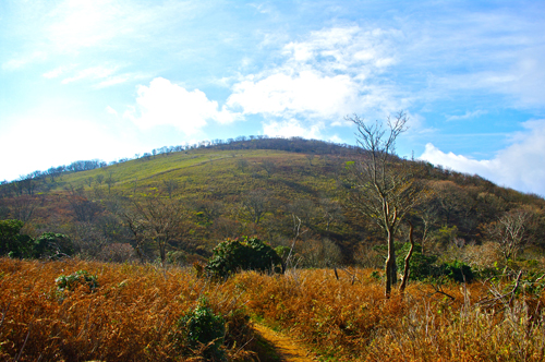 IMGP3158.jpg