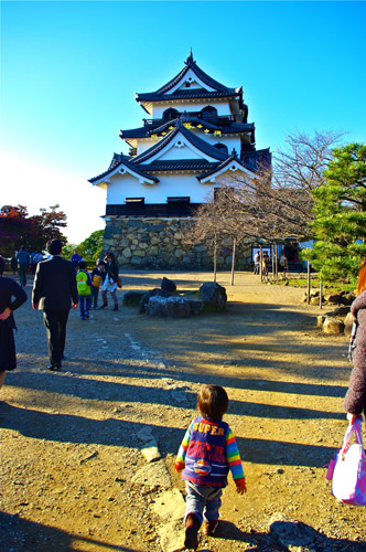 IMGP3380.jpg