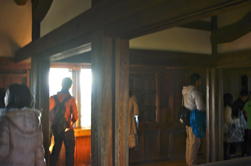 IMGP3423.jpg
