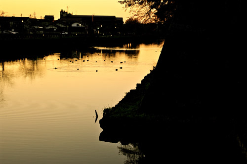 IMGP3534.jpg