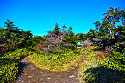 IMGP3729.jpg