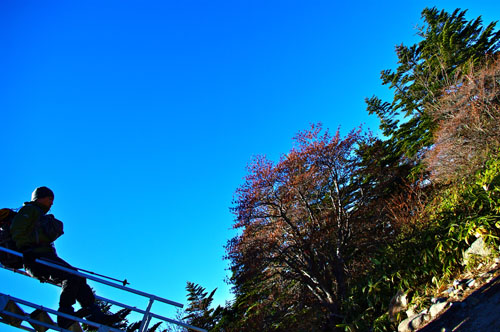 IMGP3758.jpg