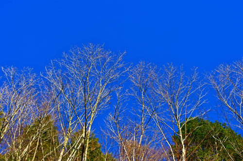 IMGP3780.jpg