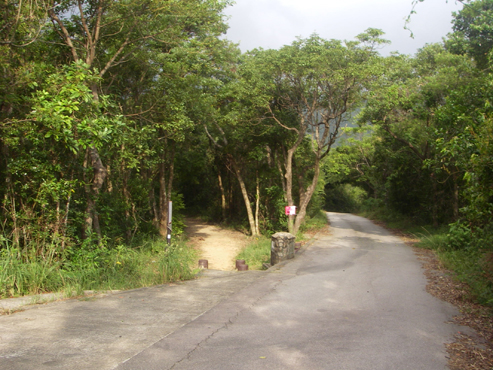 IMGP4242.jpg
