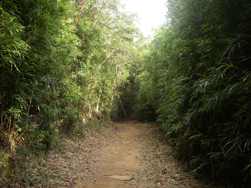 IMGP4243.jpg