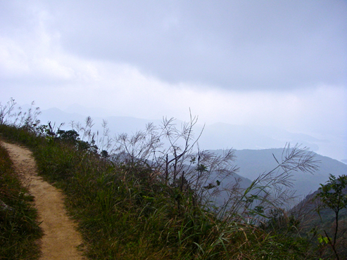 IMGP4254.jpg