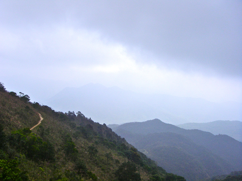 IMGP4255.jpg
