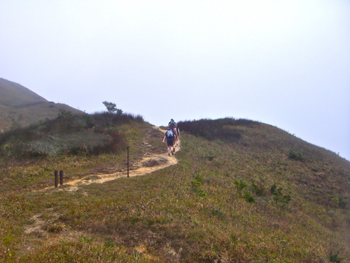 IMGP4264_20120410145556.jpg