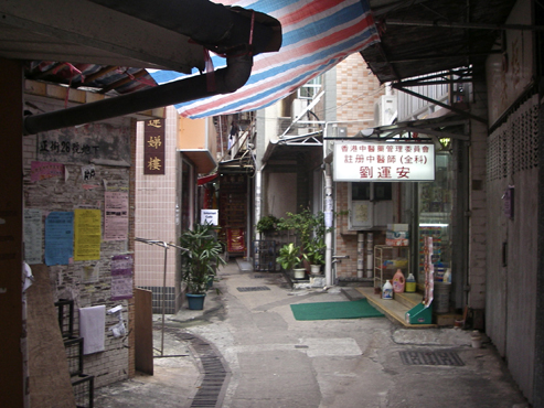 IMGP4294_20120410145701.jpg