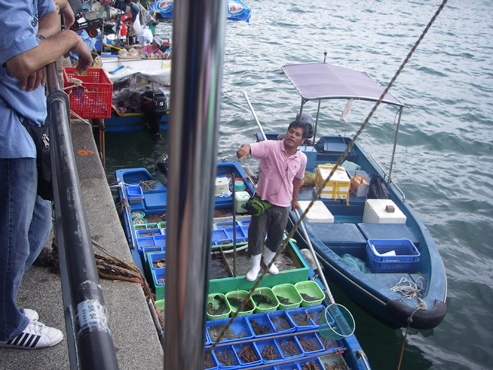 IMGP4303.jpg