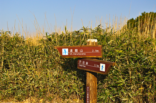IMGP4570.jpg