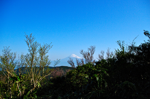 IMGP4576.jpg