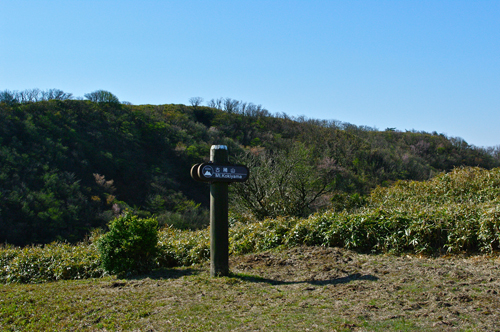 IMGP4605_20120224085654.jpg