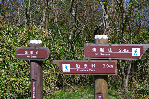 IMGP4609.jpg
