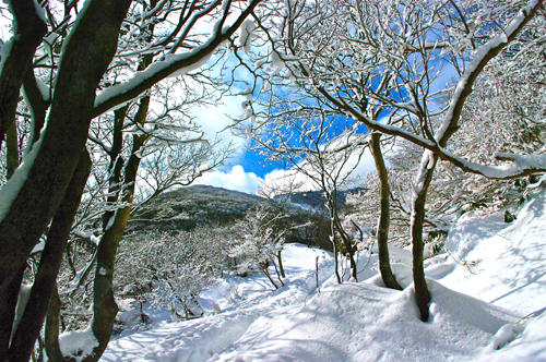 IMGP4735.jpg