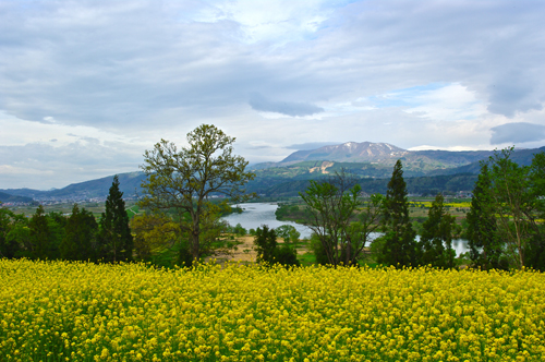 IMGP4821.jpg