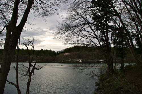 IMGP4849_20120306102616.jpg