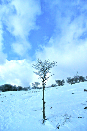 IMGP4856.jpg