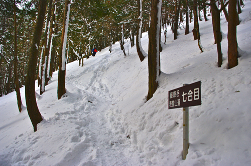 IMGP4960.jpg