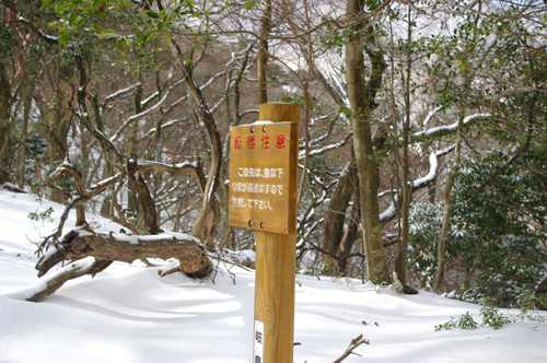 IMGP5378.jpg