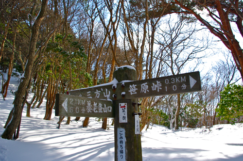 IMGP5395.jpg